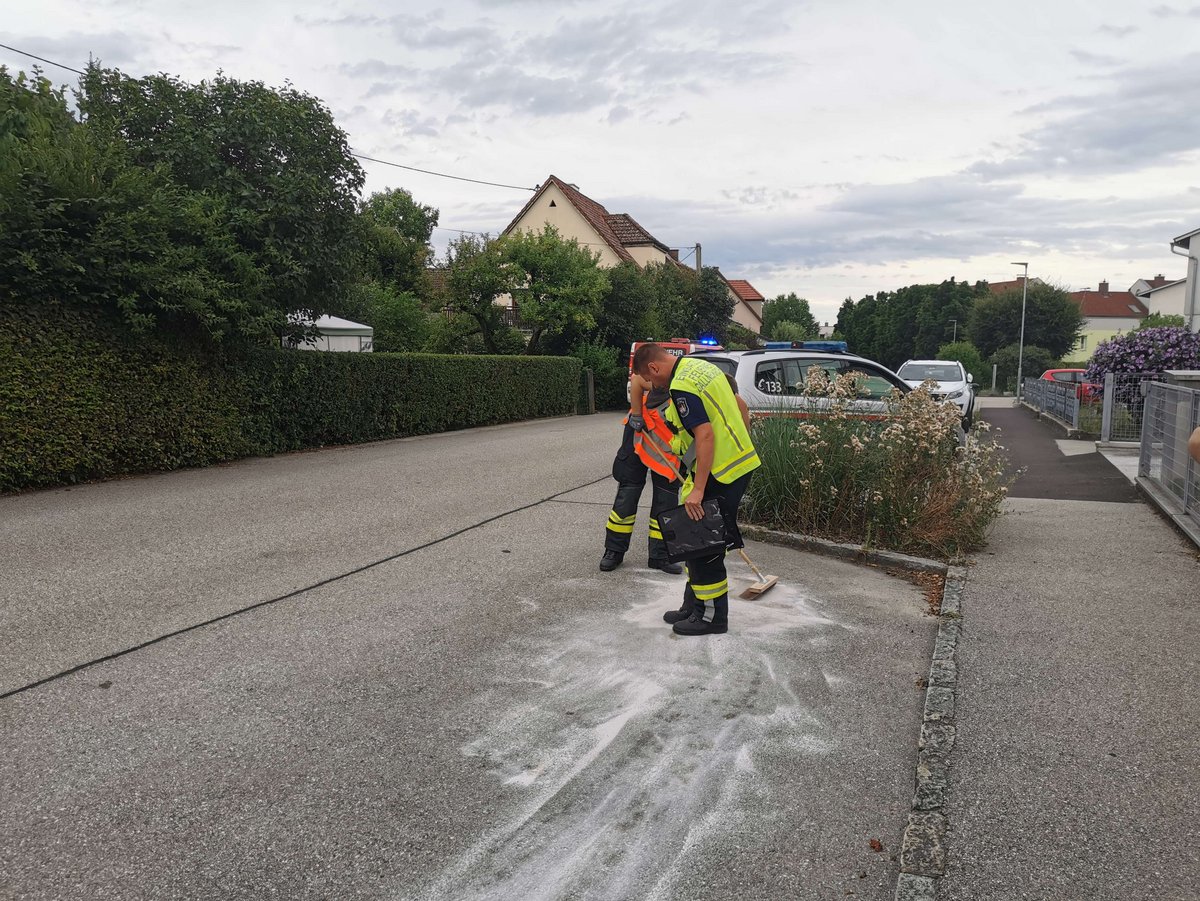 Lspur In Gallneukirchen Bezirk Urfahr Umgebung